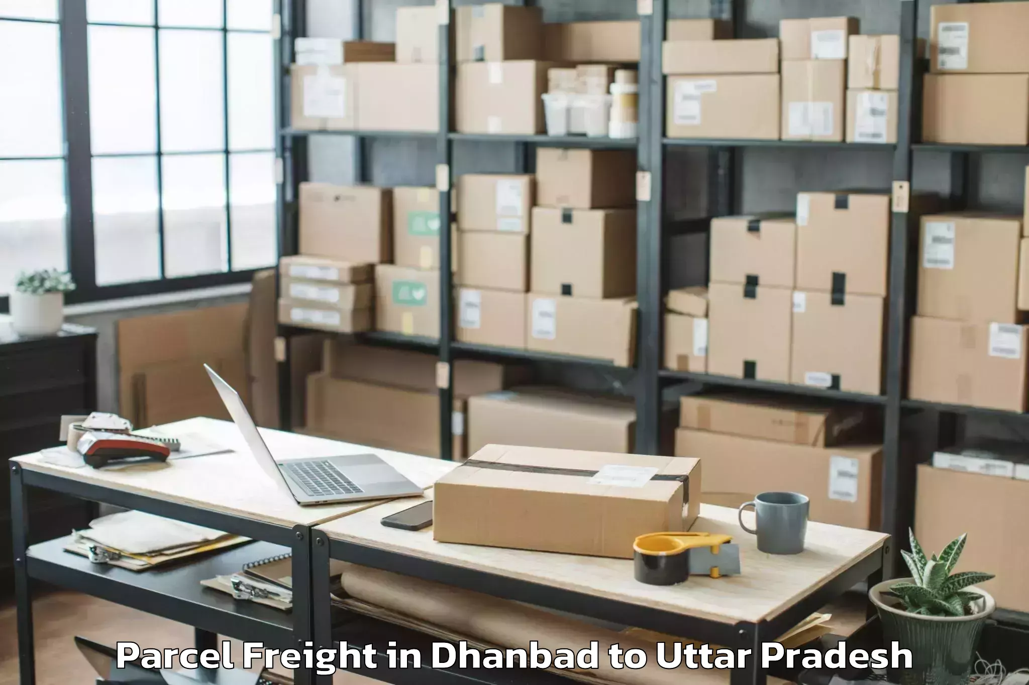 Book Dhanbad to Jhusi Parcel Freight Online